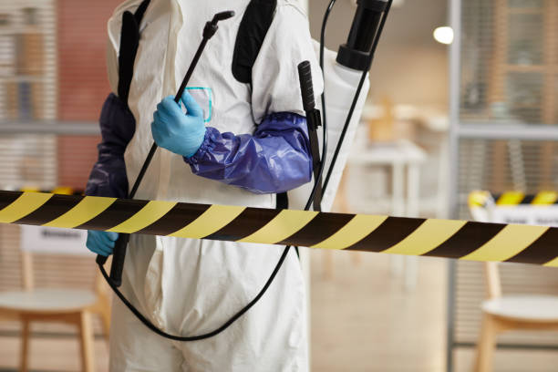 Professional Sewage Cleanup technician working in Standish, MI